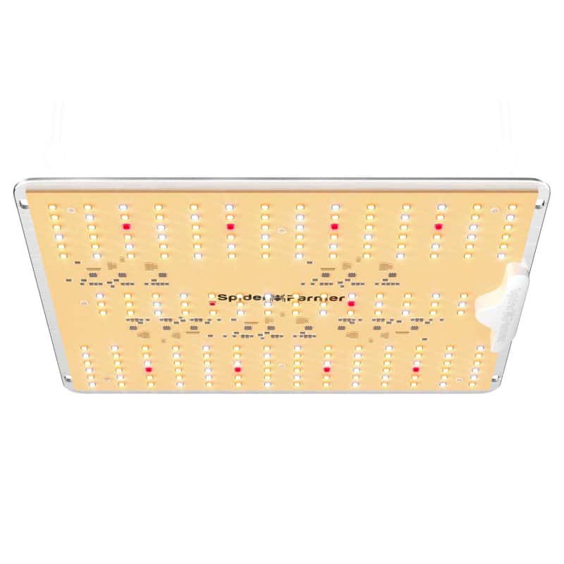 SF1000D led grow light_02