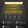 2025 Spider Farmer® SF300 33W Full Spectrum LED Grow Light For Veg