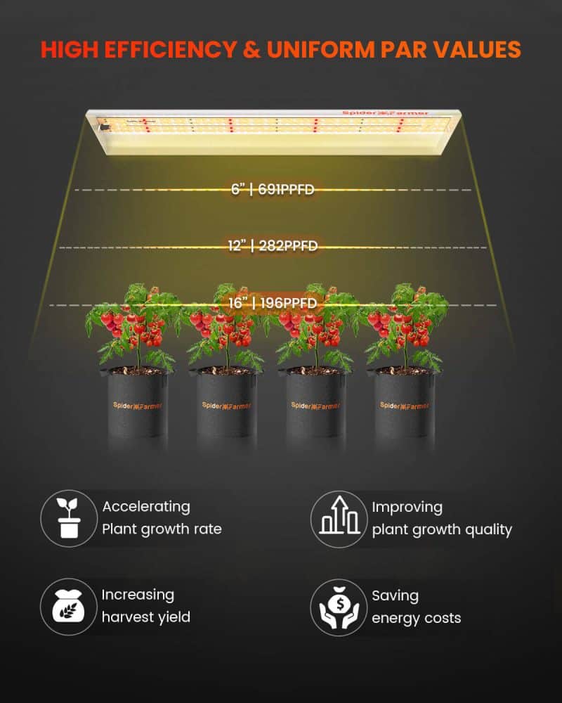 2025 Spider Farmer® SF300 33W Full Spectrum LED Grow Light For Veg