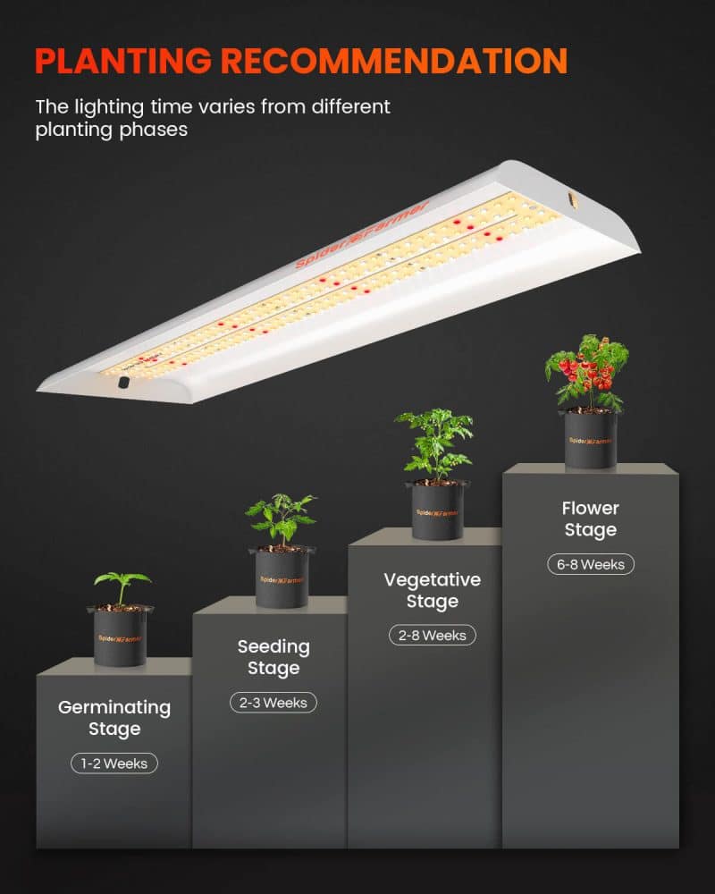 2025 Spider Farmer® SF300 33W Full Spectrum LED Grow Light For Veg