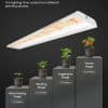 Pre-Order 2025 Spider Farmer® SF600 74W Full Spectrum LED Grow Light For indoorgarden Hydroponics Grow