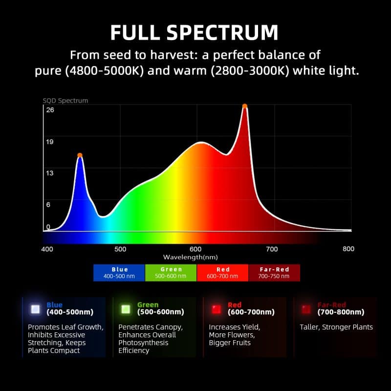 2025 Spider Farmer® G1000W WiFi & Bluetooth App-Controlled Dimmable Cost effective Full Spectrum High Yield Commercial LED Grow Light for 5X5 Grow Tent