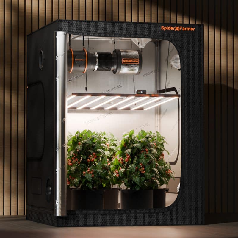 2025 Spider Farmer® G1000W WiFi & Bluetooth App-Controlled Dimmable Cost effective Full Spectrum High Yield Commercial LED Grow Light for 5X5 Grow Tent