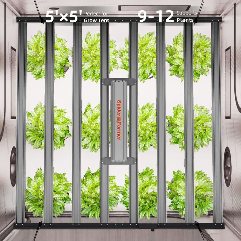 2025 Spider Farmer® G1000W WiFi & Bluetooth App-Controlled Dimmable Cost effective Full Spectrum High Yield Commercial LED Grow Light for 5X5 Grow Tent