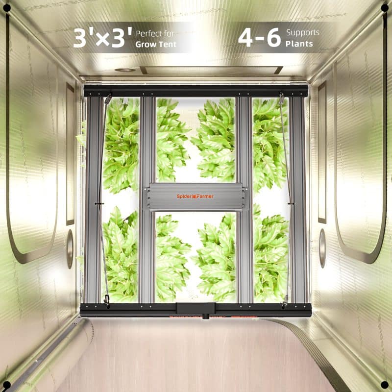 2025 Spider Farmer® G3000 300W WiFi & Bluetooth App-Controlled Dimmable Cost-effective Full Spectrum LED Grow Light for 3X3 Grow Tent