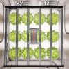 2025 Spider Farmer® G8600 800W WiFi & Bluetooth App-Controlled Dimmable Cost effective Full Spectrum High Yield LED Grow Light for 4X4 / 5X5 Grow Tent