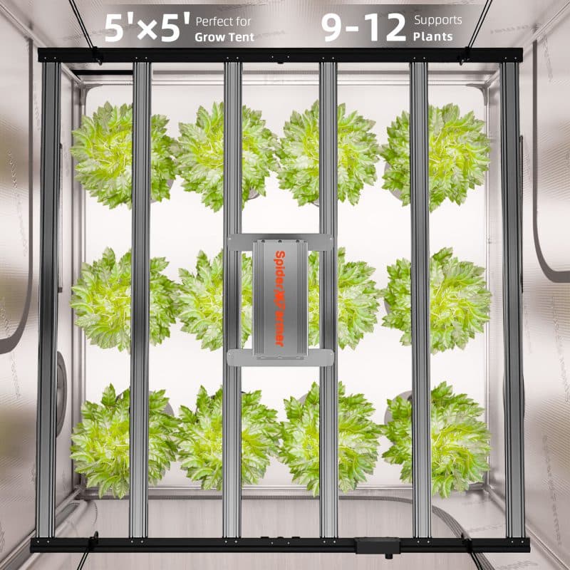 2025 Spider Farmer® G8600 800W WiFi & Bluetooth App-Controlled Dimmable Cost effective Full Spectrum High Yield LED Grow Light for 4X4 / 5X5 Grow Tent