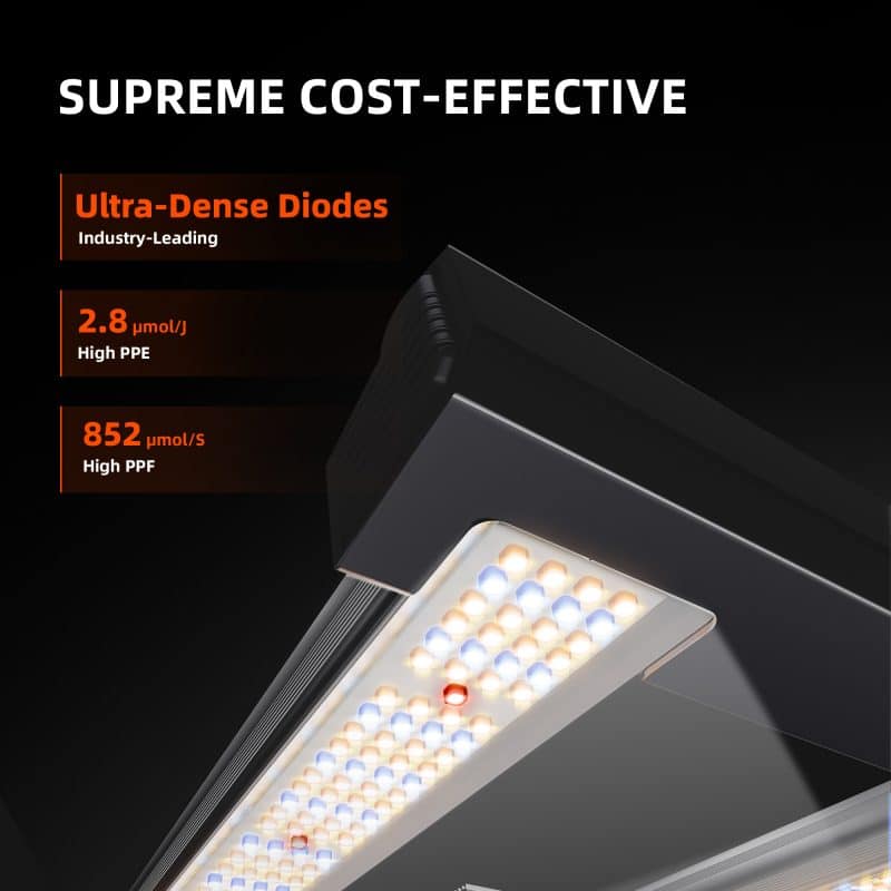 2025 Spider Farmer® G3000 300W WiFi & Bluetooth App-Controlled Dimmable Cost-effective Full Spectrum LED Grow Light for 3X3 Grow Tent