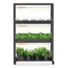 Back In Order Spider Farmer® SF600 growshelves Indoor led grow light and Metal Plant Stand with Plant Trays