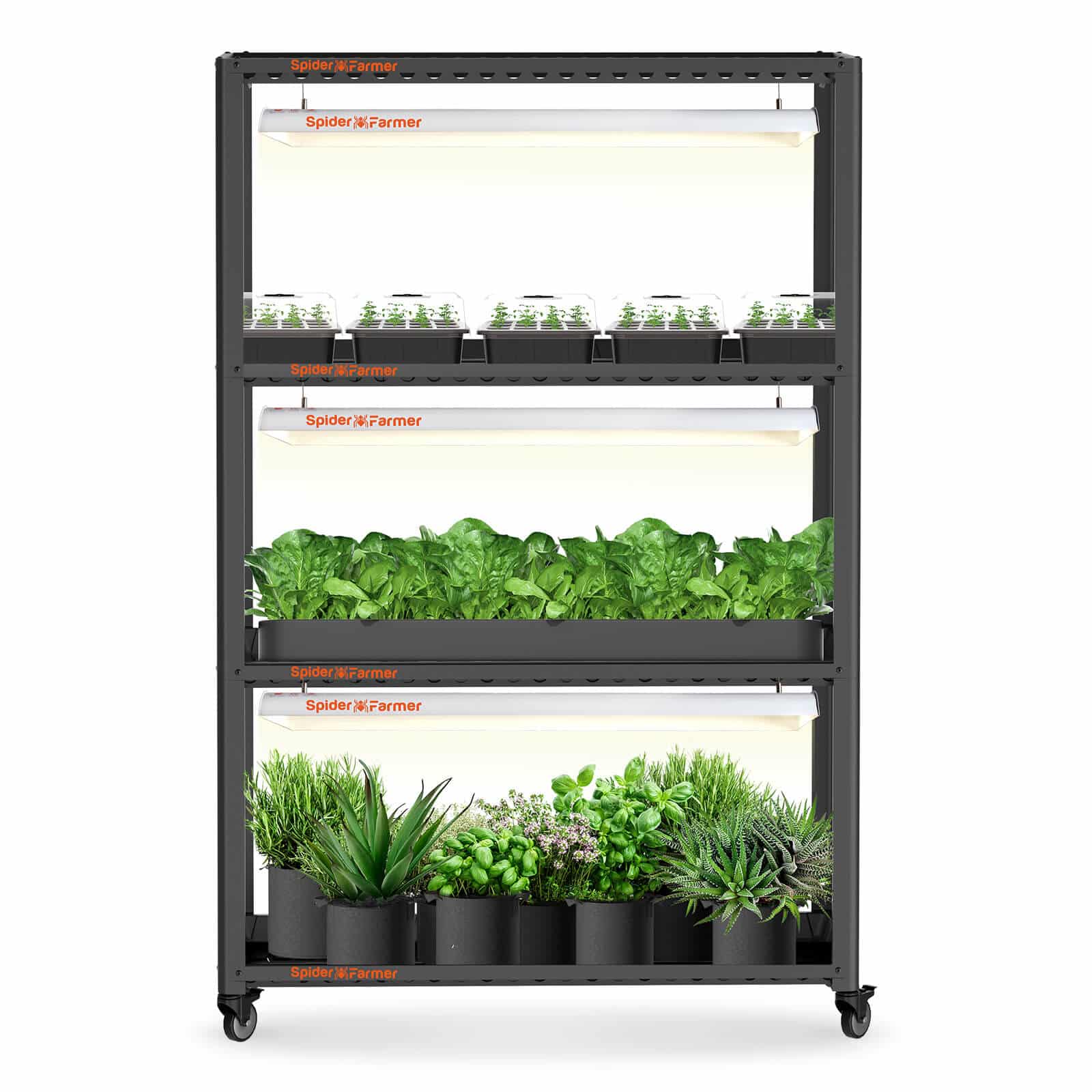 Back In Order Spider Farmer® SF600 growshelves Indoor led grow light and Metal Plant Stand with Plant Trays