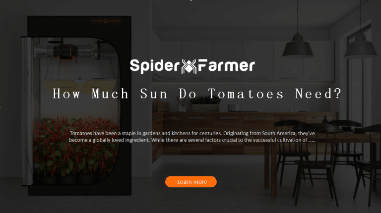 blog CA