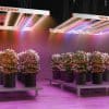 2024 Spider Farmer® Supplemental 730nm IR LED Light Bar Set for Plant (35.4” )
