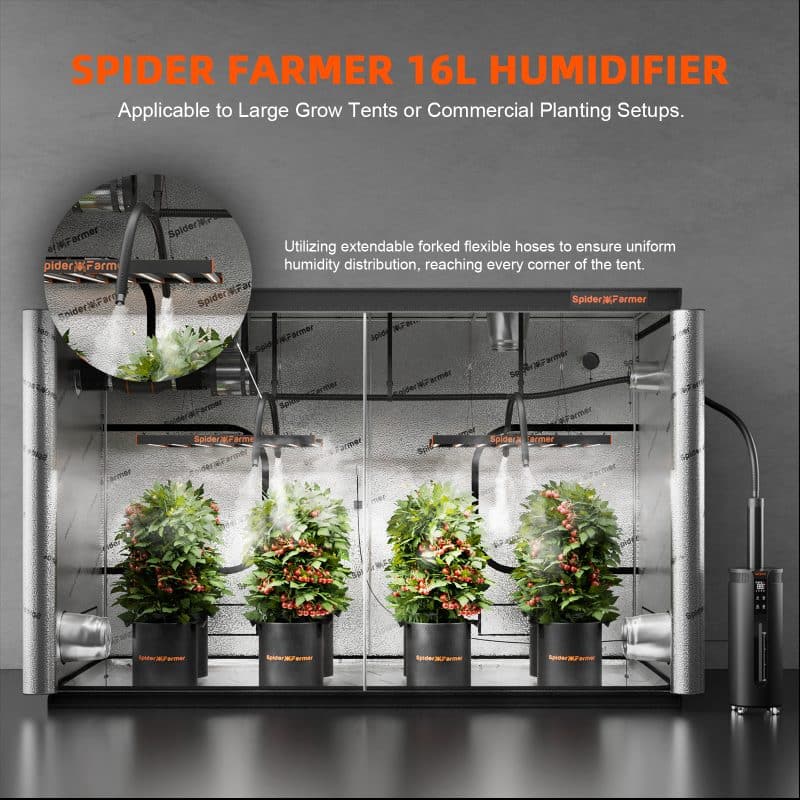 Spider Farmer® 16L Cool Mist Humidifier for Indoor Room Plants