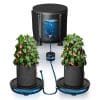 self watering system 2 pairs